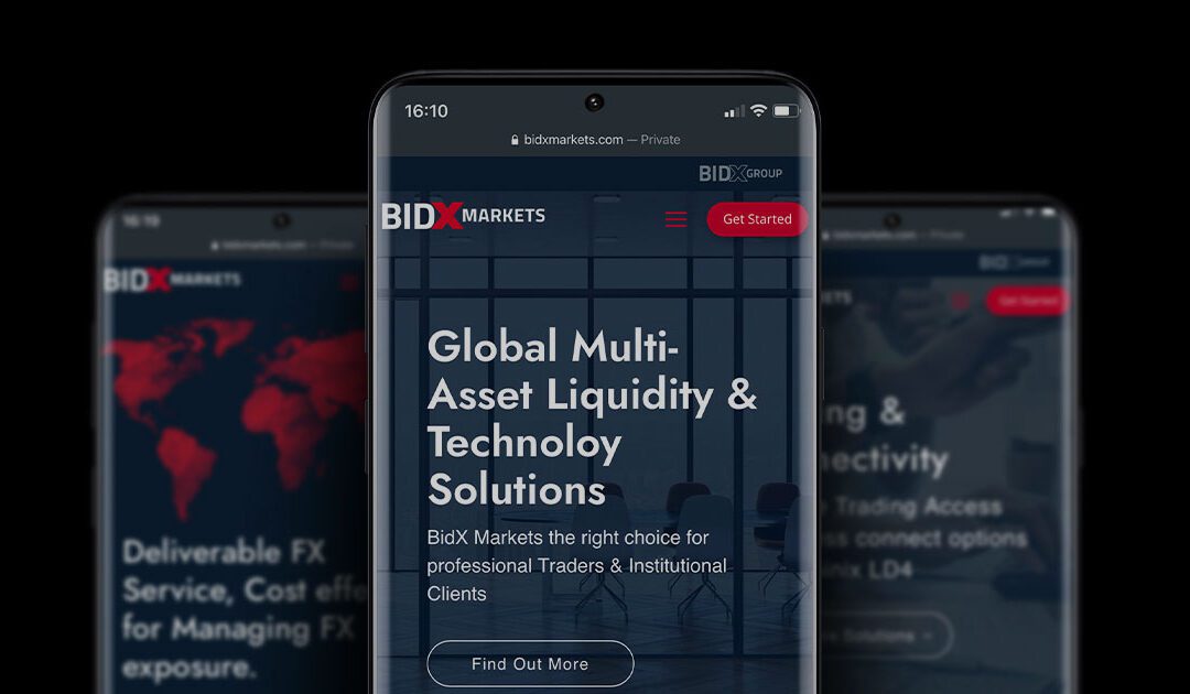 BidX Markets Website